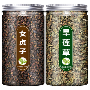 女贞子和旱莲草正品中药材墨旱莲旱墨莲何首乌菟丝子茶二至丸原料