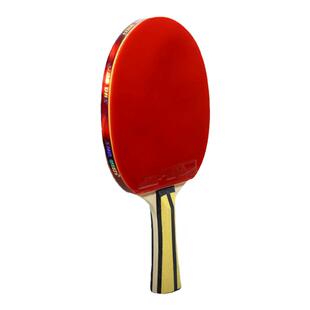 正品红双喜乒乓球拍3星4星5星6星专业高弹力碳素底板狂飙3天极蓝
