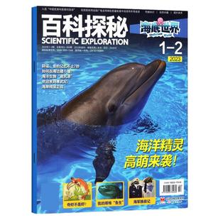 百科探秘海底世界杂志2026年1-8月新【全年/半年订阅/单月】2025年珍藏海洋科学小学生课外科普阅读儿童文学青少年百科全书籍期刊