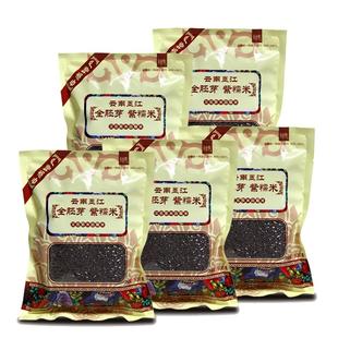 云南墨江紫米新米血糯米正宗墨江紫糯米全胚芽5斤大米软糯米紫米