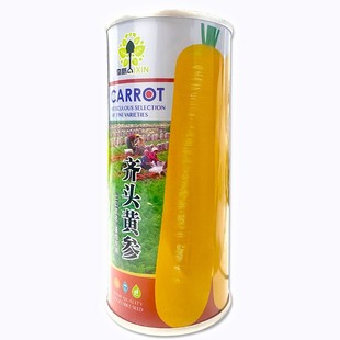 齐头黄胡萝卜种子生吃黄色水果萝卜种籽农家菜园庭院秋季蔬菜种孑