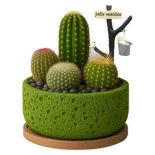 仙人掌科仙人球盆栽组合多肉植物办公室内防辐射桌面绿植花卉盆景