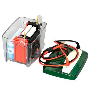 通用bio-rad伯乐 小型转印(湿转)电泳仪 转印槽 转膜电转电泳槽 转印海绵 冰盒 转印电极芯 310303