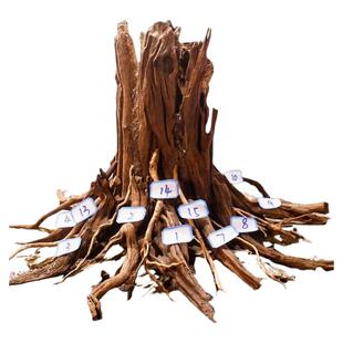 生命之树沉木骨架定制鱼缸造景树桩木头枝条新手装饰全套装成品