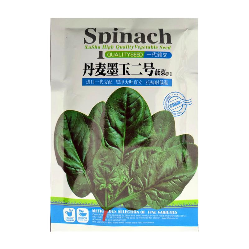 菠菜种籽孑墨玉波菜种子慕尼黑