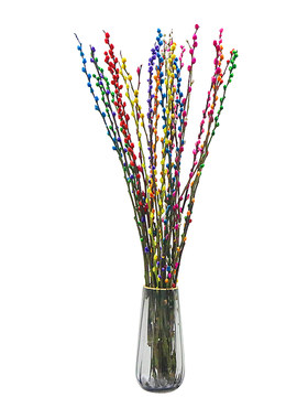 红色水培植物客厅银柳真花