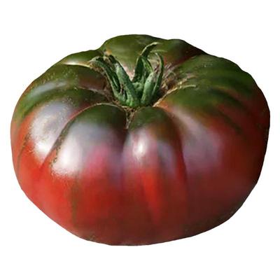 黑番茄种子苗问天种业有机番茄籽