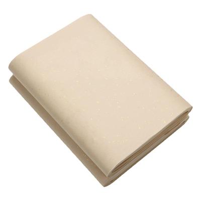 书法创作专用纸加厚仿古洒金宣纸