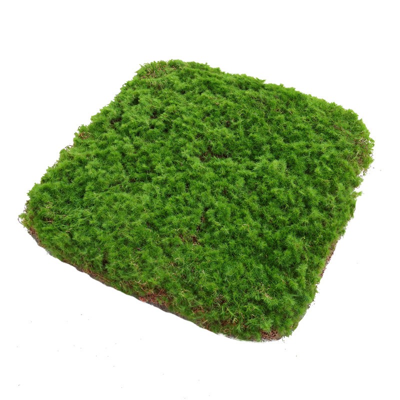 花千韵仿真草坪苔藓田园造景软装
