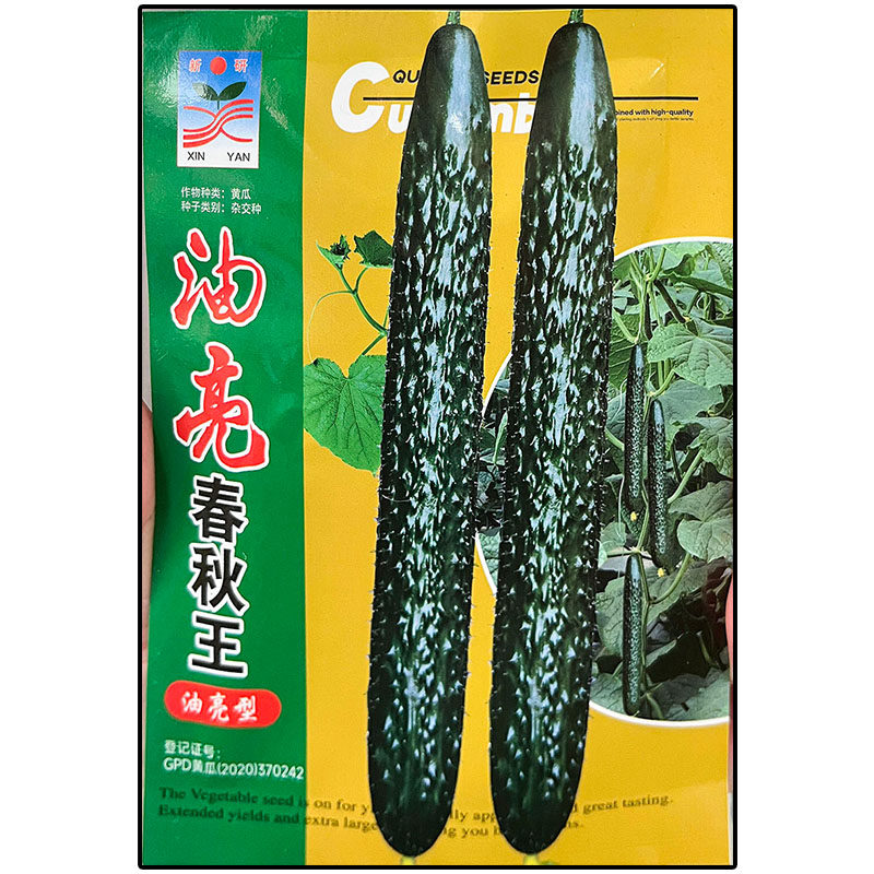 油亮春秋王型黄瓜青黄瓜蔬菜种子
