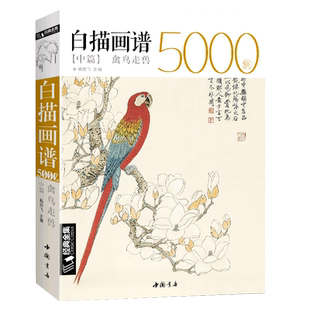 经典全集 白描画谱5000例中篇·禽鸟走兽勾线描荷花卉临摹图谱书籍手绘自学零基础初学者技法入门到精通工笔高清底稿成人教程