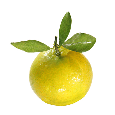 现摘应季水果广西武鸣皇帝柑包邮