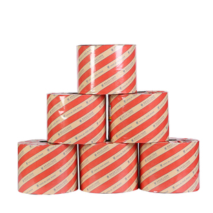 三延东华源老药师通用9公斤煎药机包装袋液体复合膜/煎药机中药袋