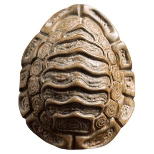 天然绿檀木雕刻富甲天下龟壳挂件摆件创意转运招财文玩手把件原木