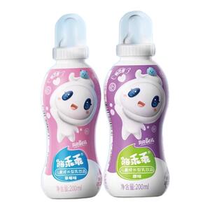 营养早餐乳酸菌乳饮品