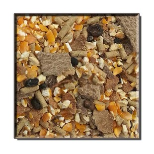 马饲料骡子饲料驴饲料 马驴骡精料补充料40kg80斤装厂家直销