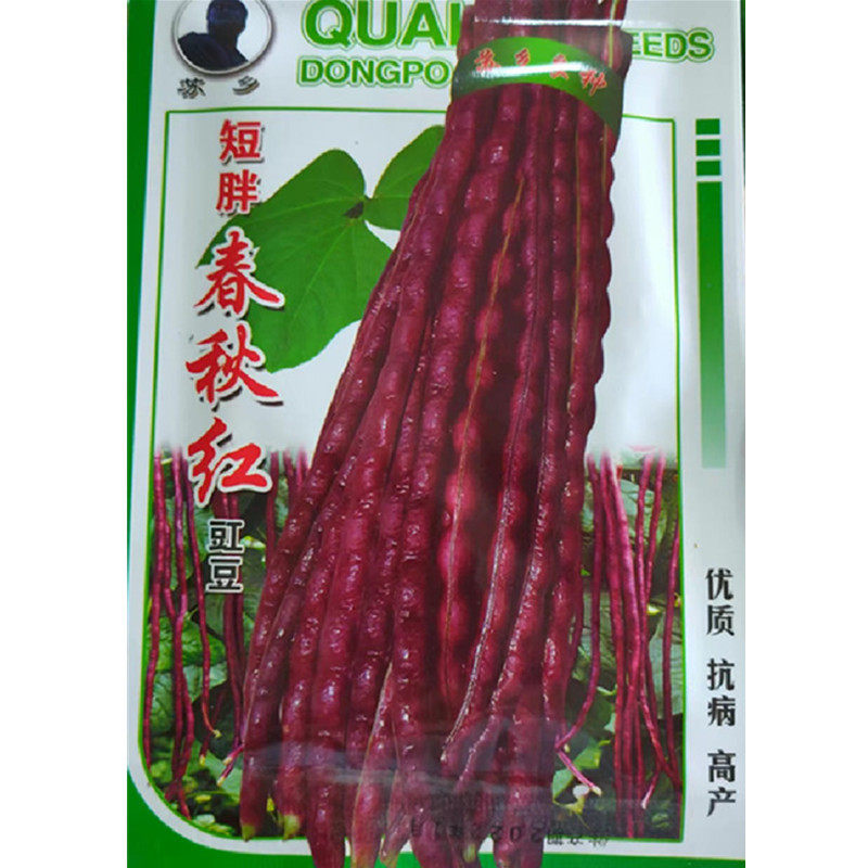 短胖春秋红豇豆种子甜嫩红皮豆角种籽高产架豆阳台豆角蔬菜种孑