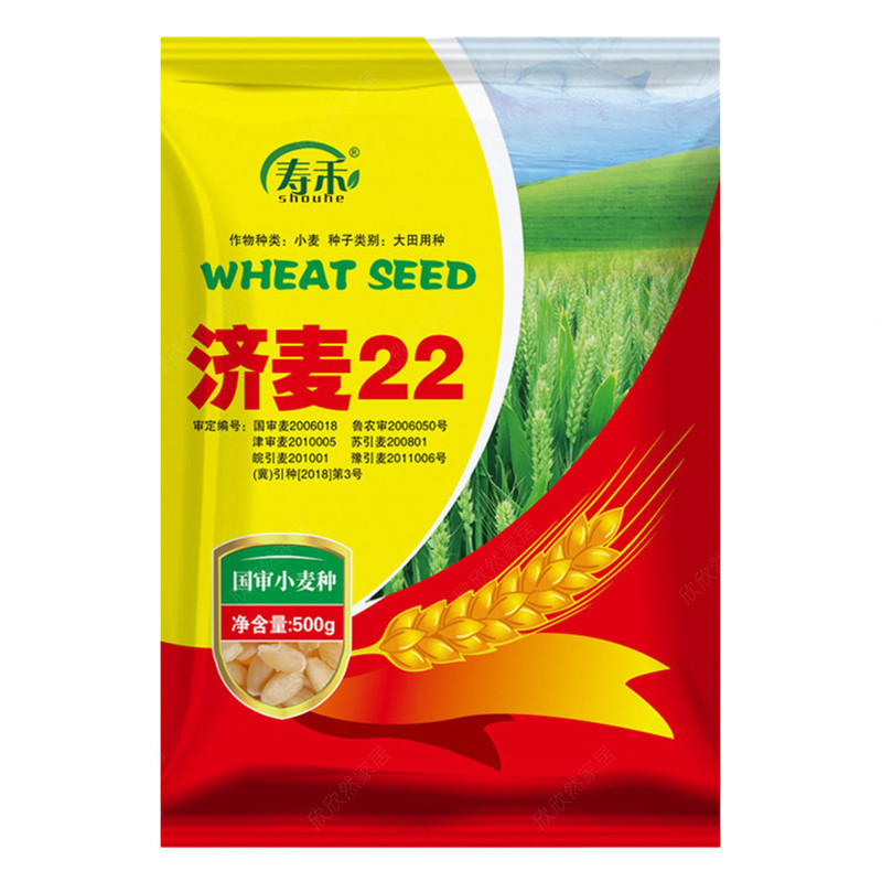 小麦种子原种济麦22高产农科院选育国审大田用种抗倒耐寒粮食籽种