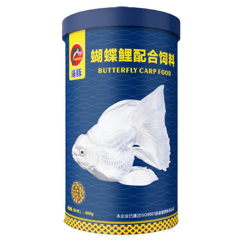 海豚蝴蝶鲤专用饲料高蛋白增白