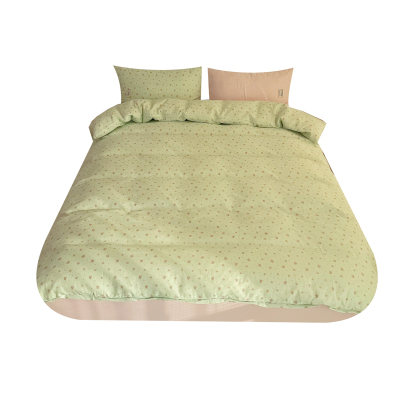 ins清新薄荷绿全棉双层纱四件套