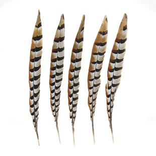 俏花旦天然羽毛野鸡毛演出表演孙悟空京剧戏曲头饰雉鸡翎子地鸡毛