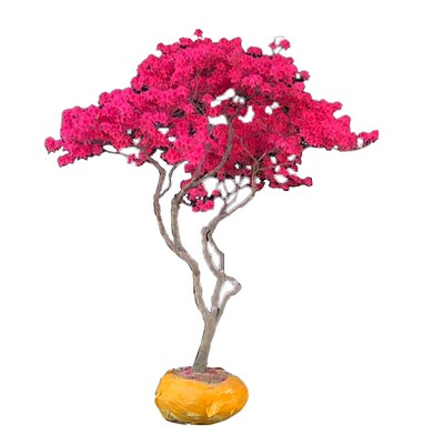 壹植映山红树苗老桩干枝