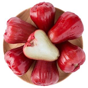 顺丰礼盒 5斤海南黑金刚莲雾水果新鲜特级当季现摘整箱包邮树上熟