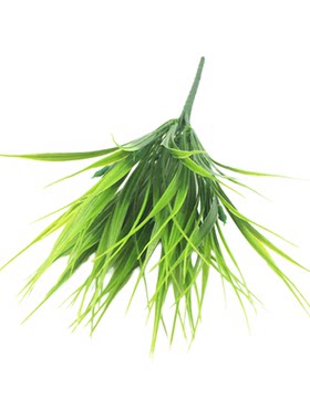 仿真绿植装饰塑料假草水稻秧苗