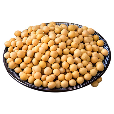 东北黄豆5斤有机非转基因农家自种批发打豆浆专用豆类新豆当季