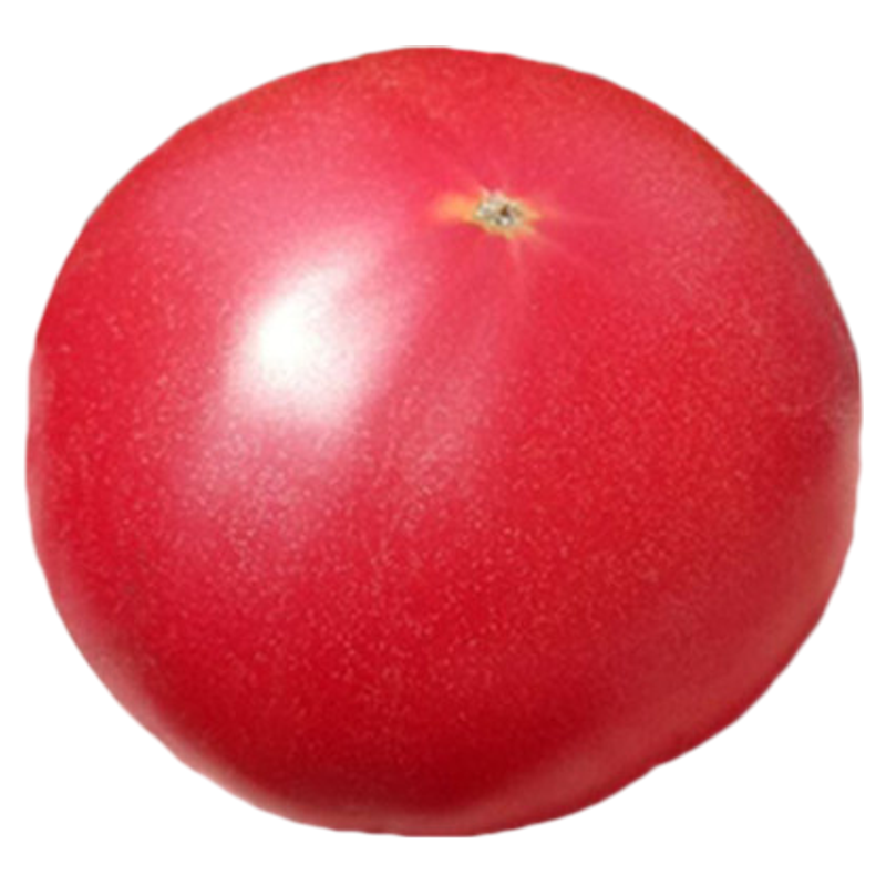 吉野1号草莓番茄种子沙瓤春季粉果西红柿蔬菜四季种籽春季种孑籽