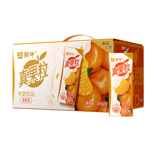 【U先】蒙牛真果粒蜜桔味250g*12包*1箱10月产
