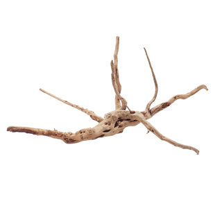 杜鹃根寄居蟹攀爬造景天然自然造型美观沉木装饰小缸躲避虾木枝条