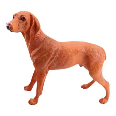 儿童玩具仿真宠物狗金毛犬柯利犬威玛猎犬雪纳瑞认知摆件动物模型