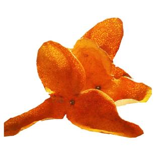 新会陈皮新皮2024年大红皮老树圈枝柑新会特产青皮断皮整皮