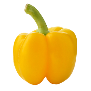 黄色甜椒种子苗灯笼辣椒阳台四季秧彩椒蔬菜幼苗秧苗菜苗种籽孑