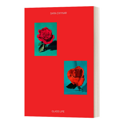 英文原版 精装 Sara Cwynar Gilded Age 玻璃生活 加拿大摄影师莎拉·奎纳尔作品集 精装 英文版 进口英语原版书籍