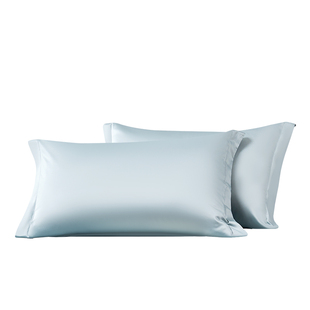 富安娜60支长绒棉纯棉枕套一对装全棉枕头套48x74cm宿舍双人冬季