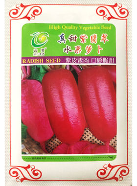 紫美人凤梨水果萝卜紫色阳台蔬菜