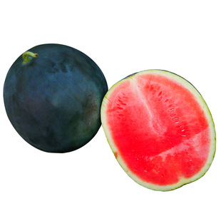 黑美人西瓜种子种籽苗特大黑皮阳台秧南方早熟孑子秧苗盆栽大西瓜