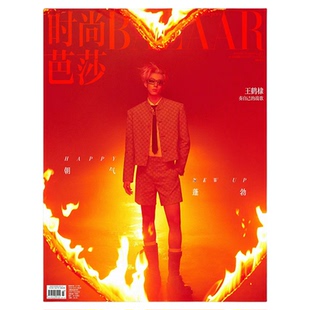 计入销量 T杂志2025年2月封面王鹤棣/ELLE/人物杂志2022年第9期普通版 少年棣的奇幻漂流/时尚芭莎/博客天下/年度人物/费加罗/WSJ