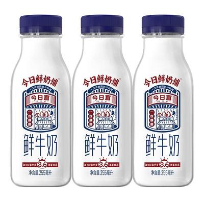 Oarmilk/吾岛希腊酸奶无蔗糖酸奶原味发酵乳低温酸奶720g大桶装