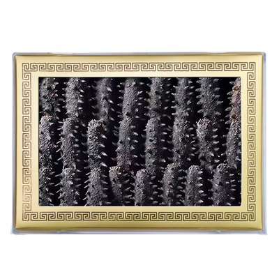 礁藏参王9年野生海参一斤也批发