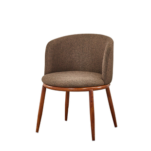 椅子现代简约懒人家用休闲北欧仿实木成人创意餐厅休息靠背咖啡桌