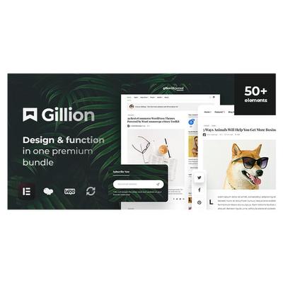 Gillion 汉化中文版多概念博客杂志和商店WordPress AMP主题模板