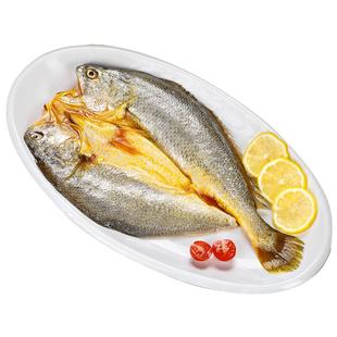 宁德黄鱼鲞5条黄花鱼新鲜冷冻小黄鱼海鲜生鲜大黄鱼免杀免洗商用