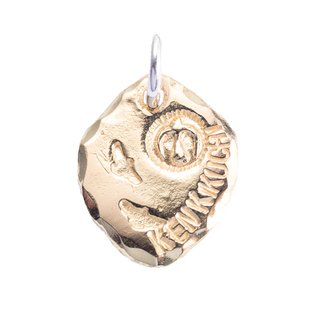 【国内现货】KEN KIKUCHI菊地健酋长金银牌 菊地建项链吊坠金银饼