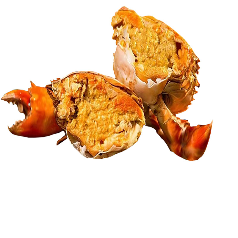 黄油蟹膏油蟹特大膏蟹全母蟹食品