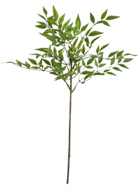 南天竹客厅假绿植马醉木