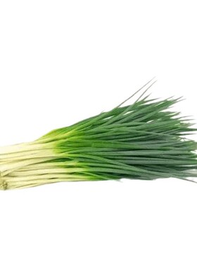 蔬菜种子阳台庭院四季播盆栽辣椒香菜番茄黄瓜洋葱香甜瓜种籽大全