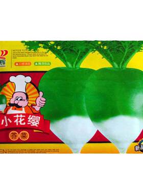 蔬菜高产疙瘩四季种子
